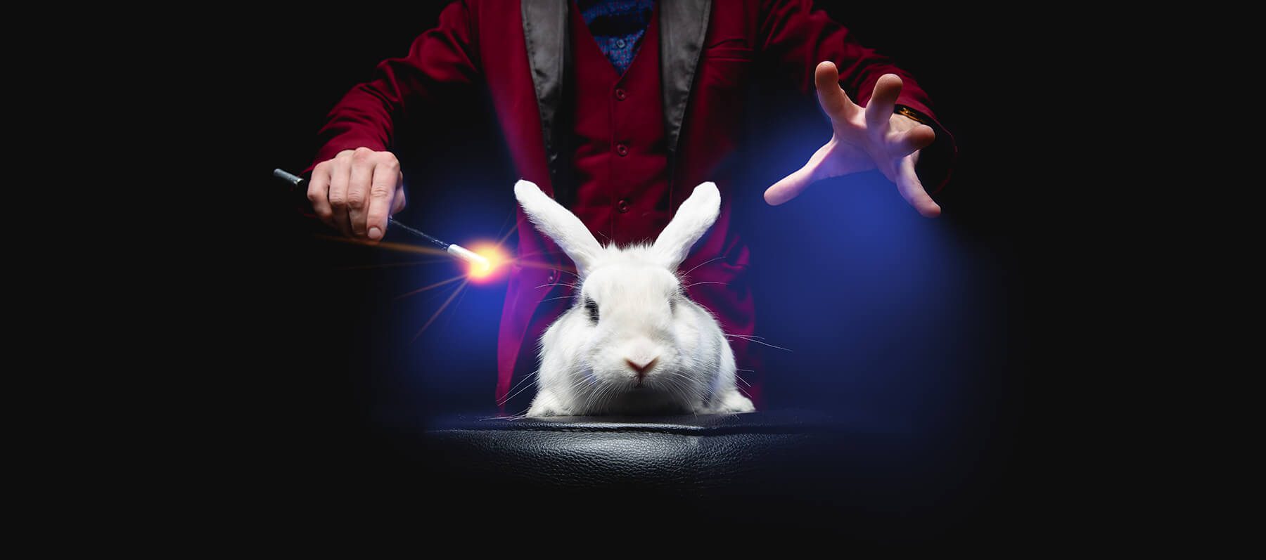 Is Performance Marketing efficient