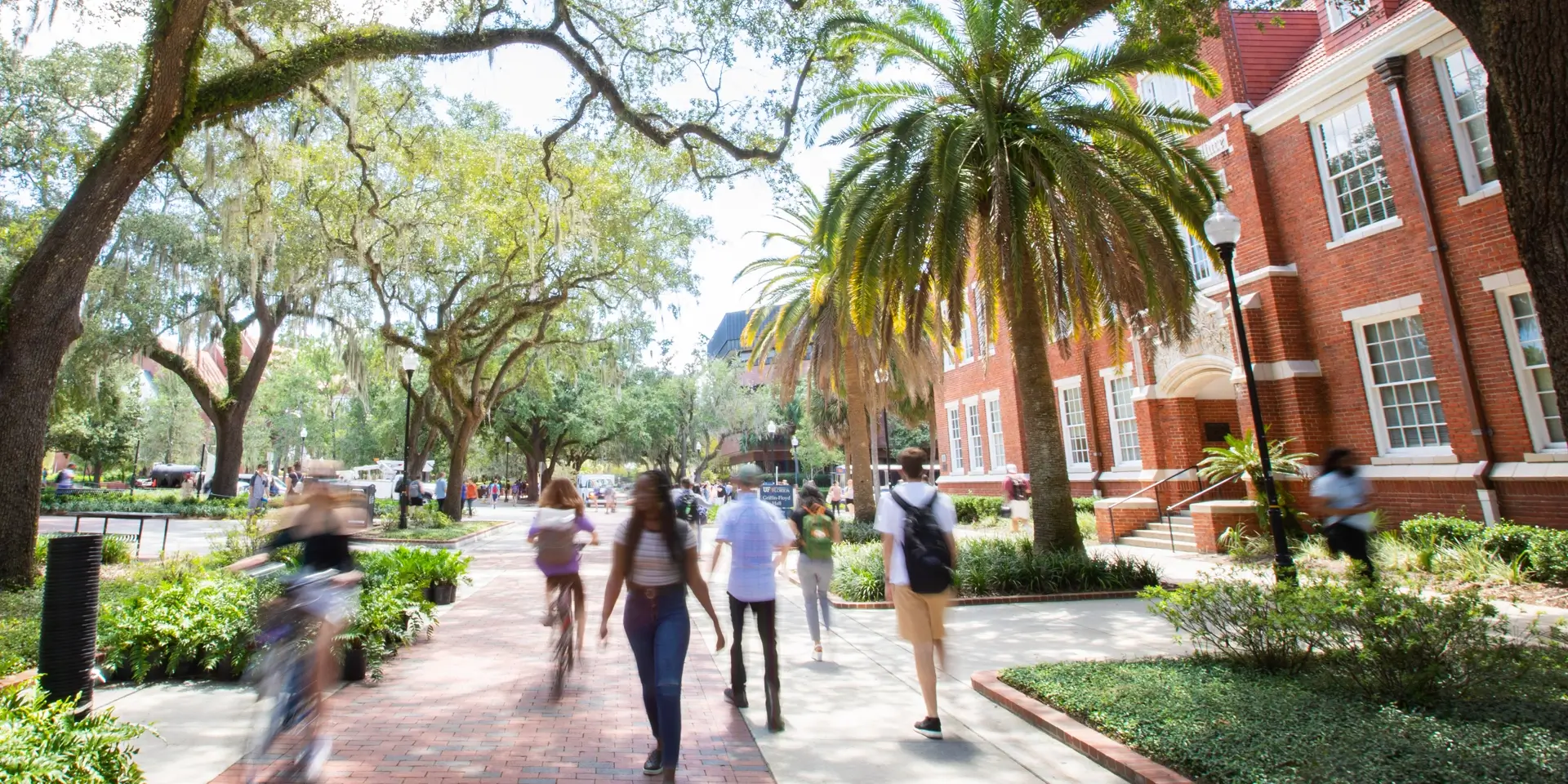 university-of-florida-campus